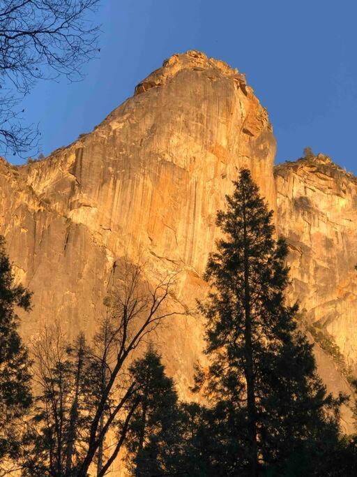 Cozy Cub Cabin, Brand New Home Near Yosemite Mariposa Ngoại thất bức ảnh