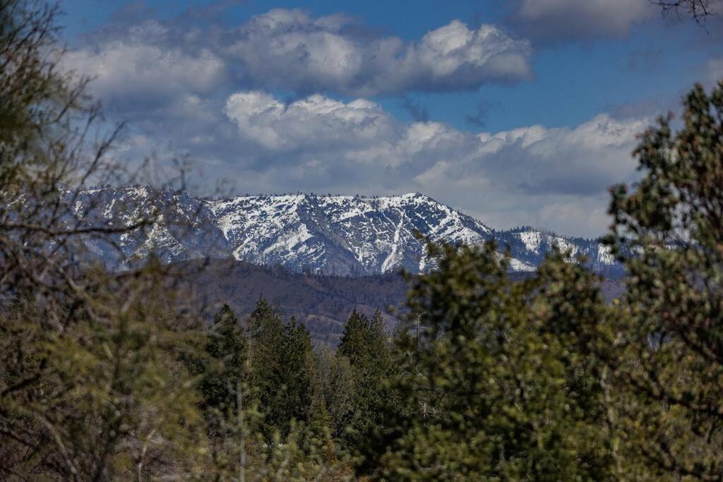 Cozy Cub Cabin, Brand New Home Near Yosemite Mariposa Ngoại thất bức ảnh