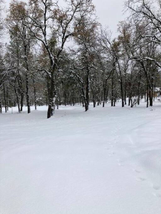 Cozy Cub Cabin, Brand New Home Near Yosemite Mariposa Ngoại thất bức ảnh
