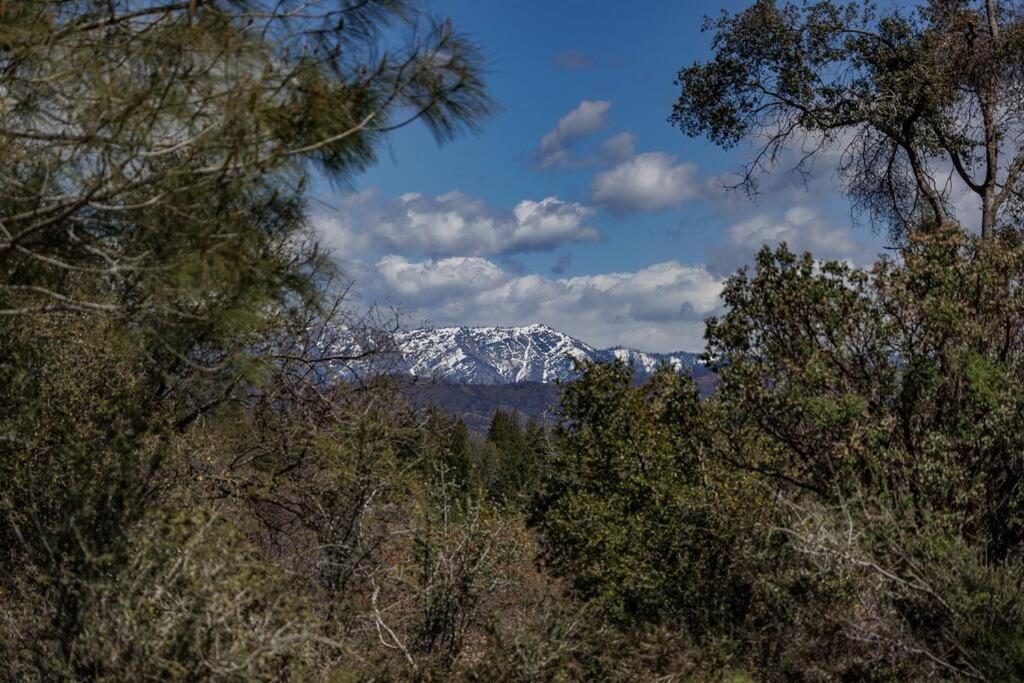 Cozy Cub Cabin, Brand New Home Near Yosemite Mariposa Ngoại thất bức ảnh